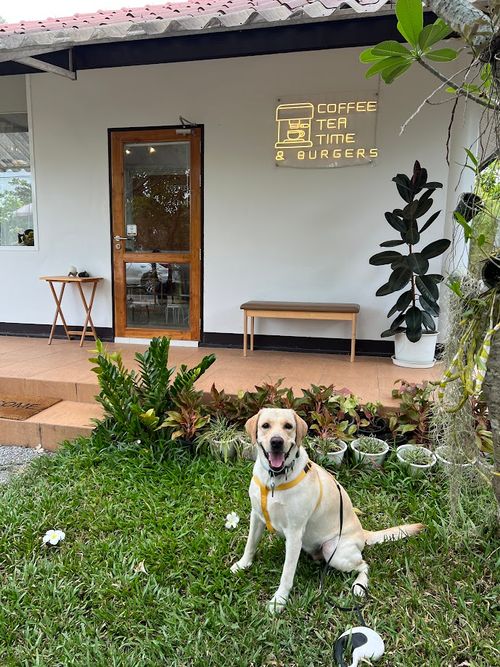 บ้านดอยปุย โปรดักชั่นเฮ้าส์ รับทำมาร์เก็ตติ้งออนไลน์ สร้างการรับรู้แบรนด์ ครบจบในที่เดียว